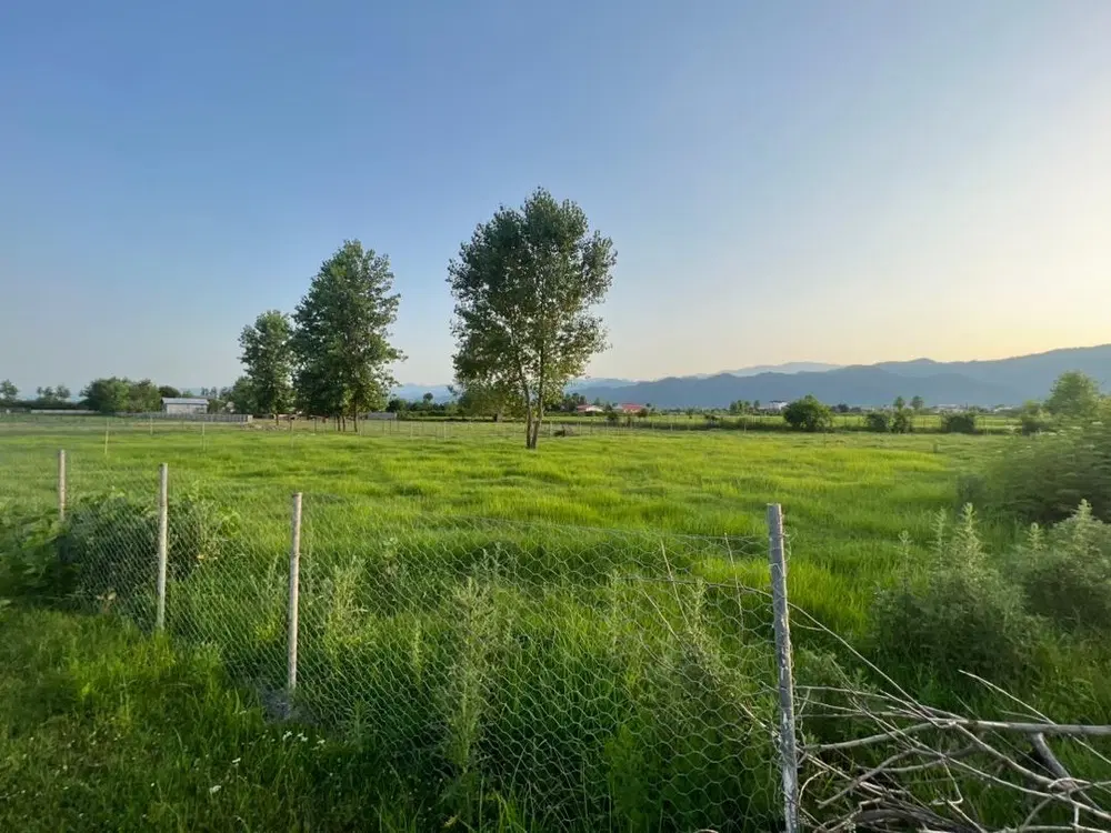 فروش زمین باغی ۲۰۰۰ متر