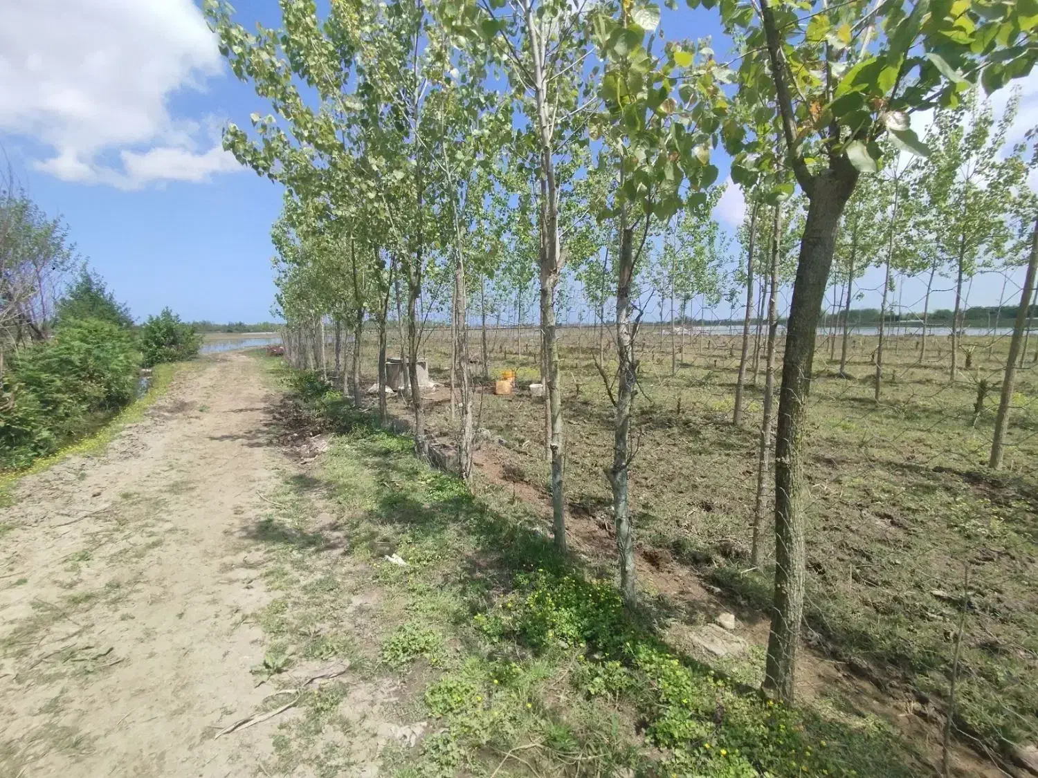زمین 232 متری تازه تفکیک شده روستای مناسب