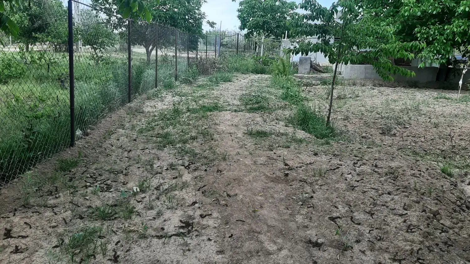 باغ راه دانشگاه