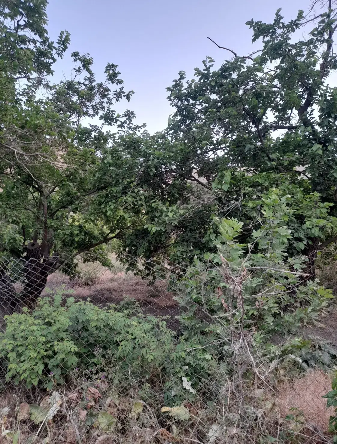 ۱۸۷متر زمین در جاغرق