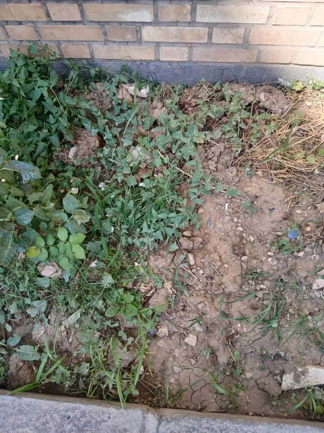 پروژه مهندسی نیواردبیل