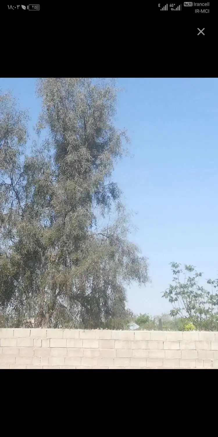 110زمین طرح هادی خاتونک