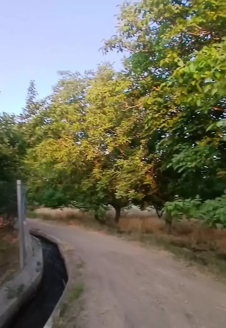 فروش باغ ۱۴۰۰ متری واقع در کوهانی