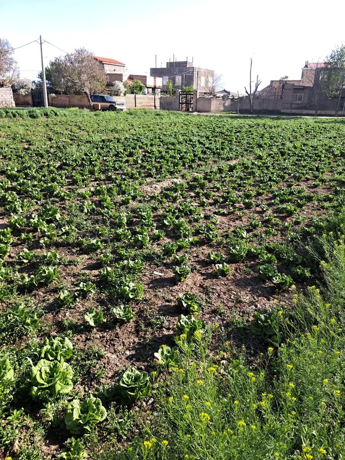 موقعیت مسکونی