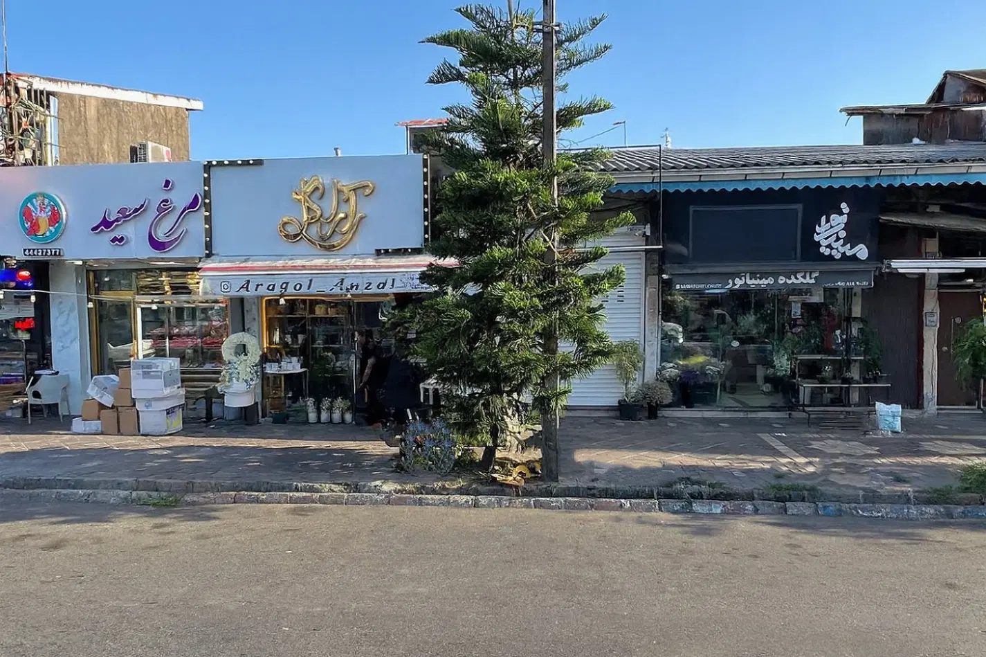 ۴ مغازه + ۴۶۷ متر زمین تجاری (دوبر)