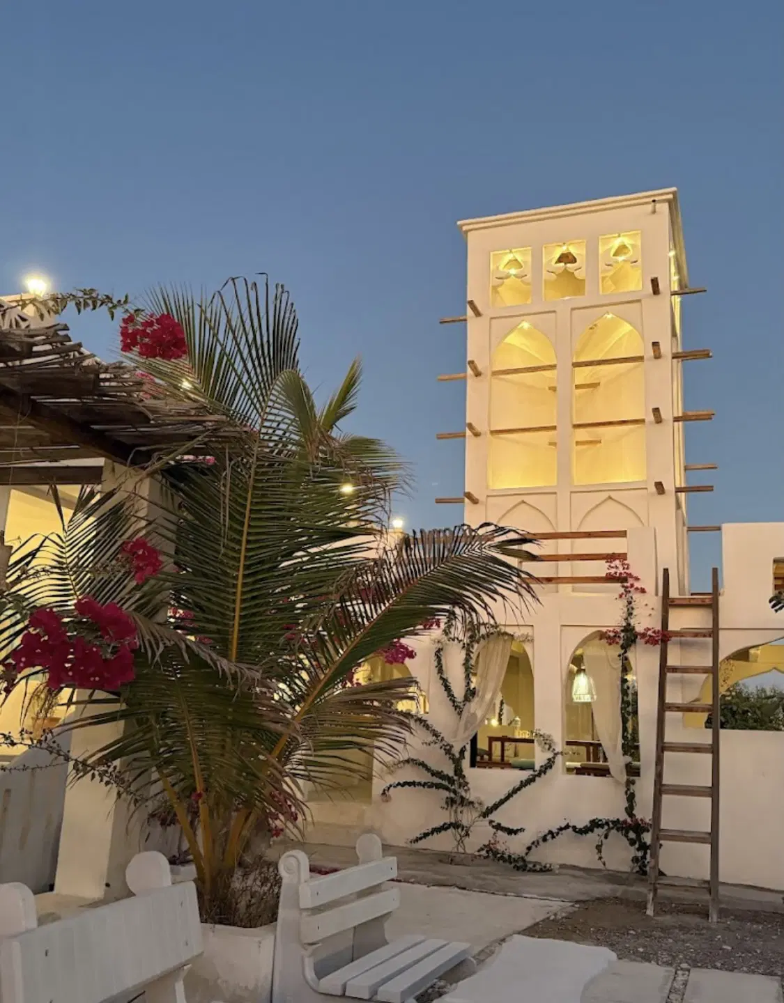 زمین ویو دار در بام سلخ