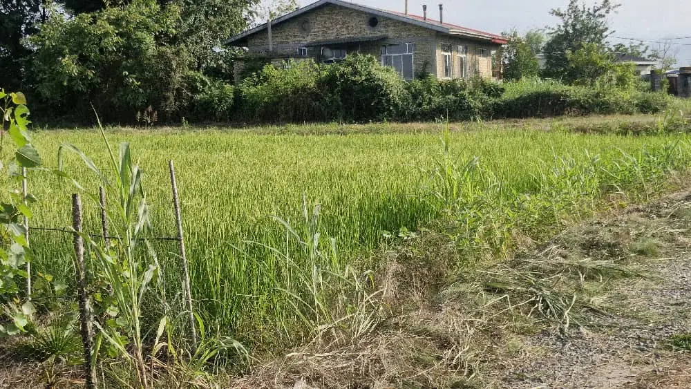 فروش زمین سنددار در گیلاکجان رودسر