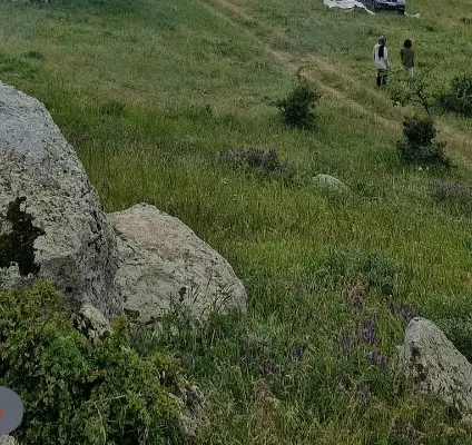فروش زمین برخیابان