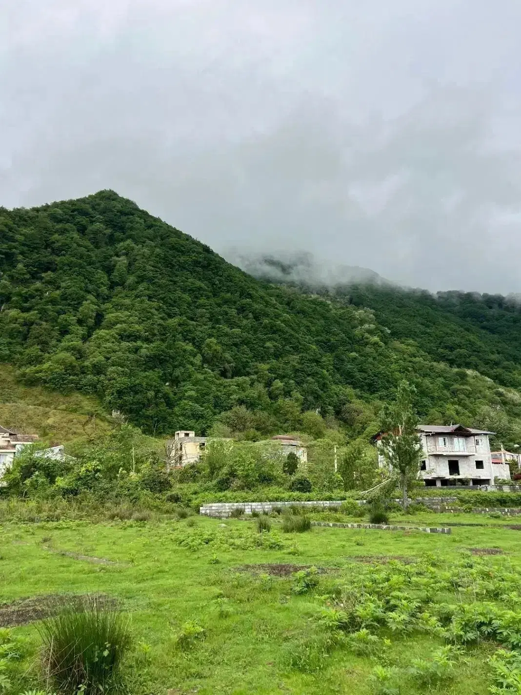 زمین ۲۶۰ تک برگ قلعه گردن چکی