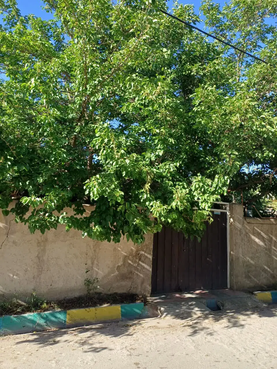 باغچه