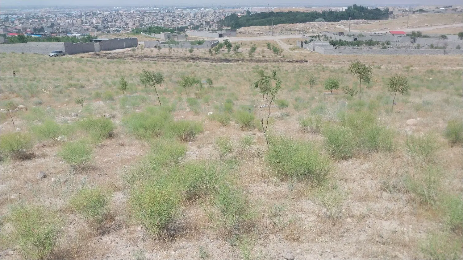 زمین ویلایی