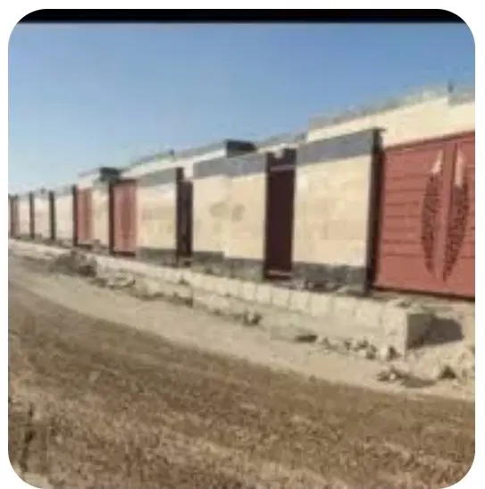 فیش مسکن