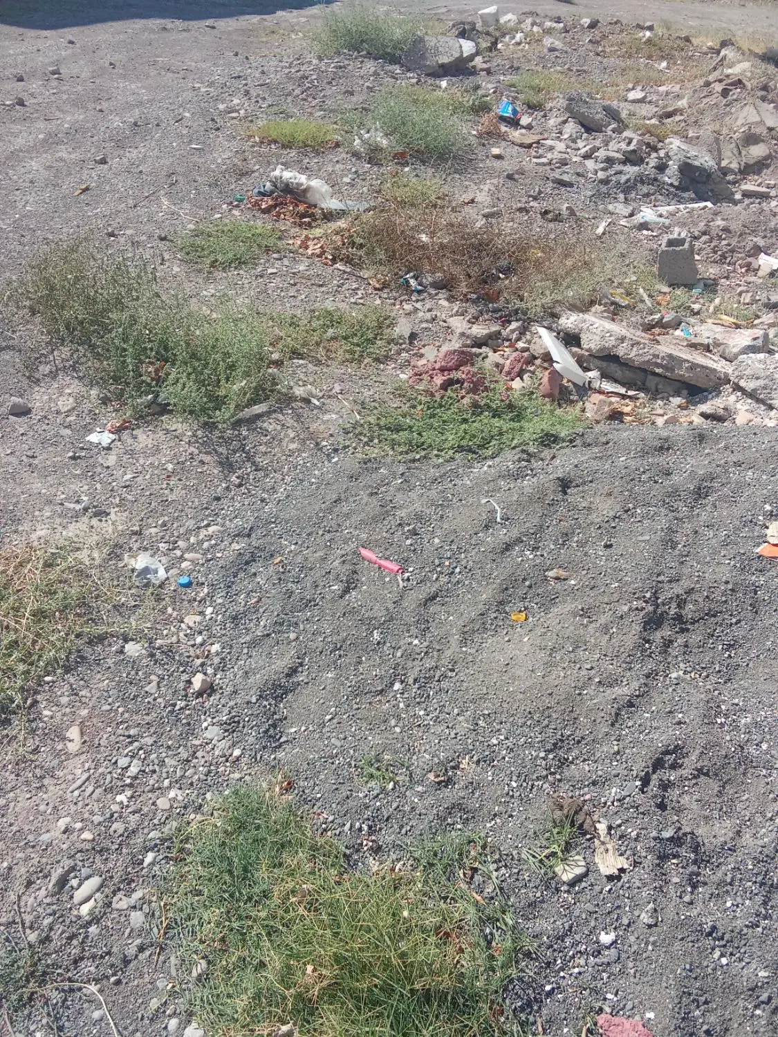 زمین مسکونی در روستای شوراب