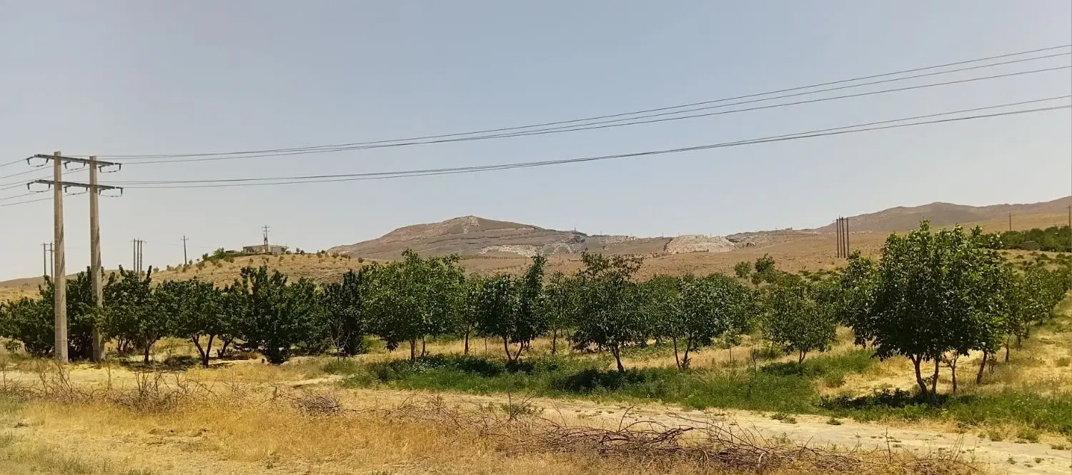 فروش باغ