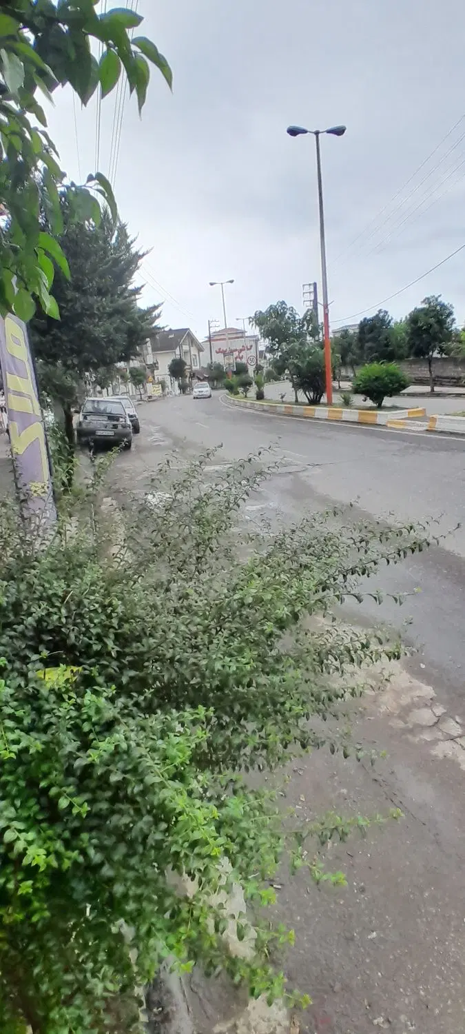 ۱۷۷ متر زمین مسکونی شش دانگ (بلوار بهشتی)