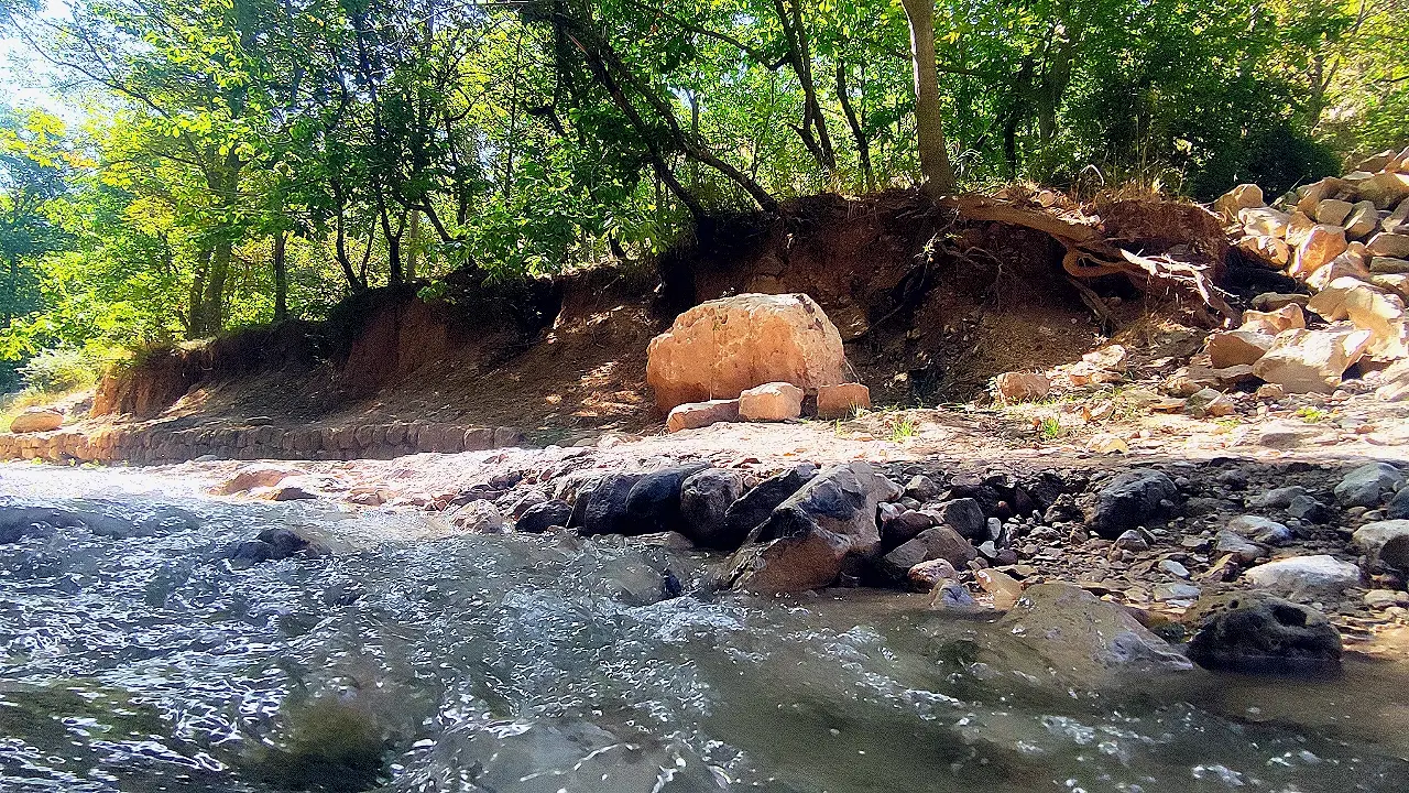 باغ فروشی ـ بجنورد ـ روستای درصوفیان
