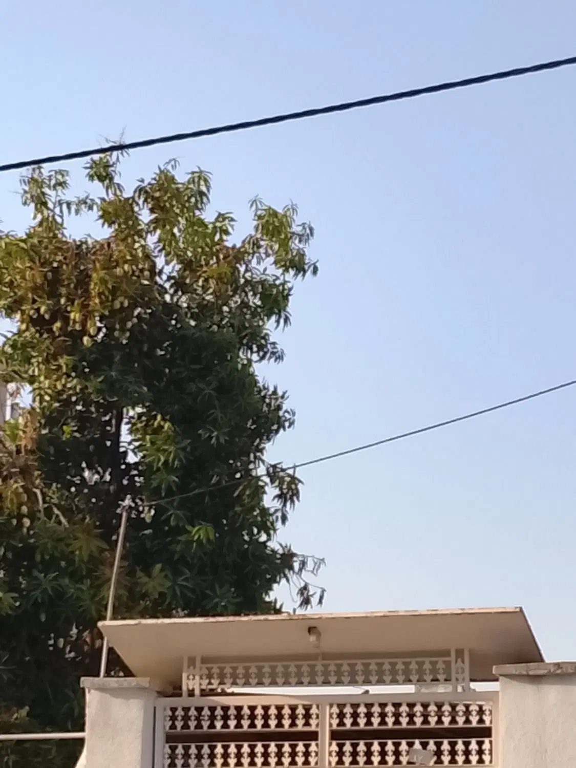 زمین مسکونی دوبر و سه نبش نقدی ومعاوضه با ماشین