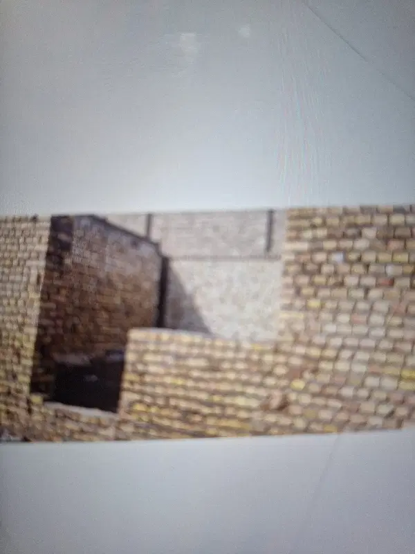 زمین