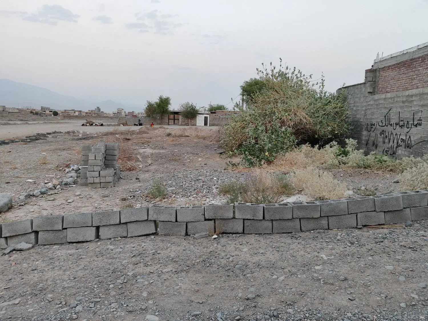 زمین پایداران