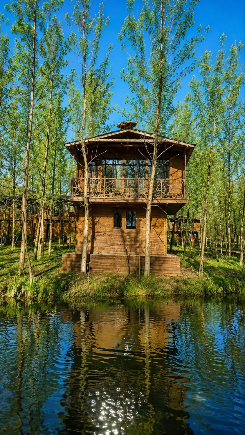 اینجا حال خوب جریان داره