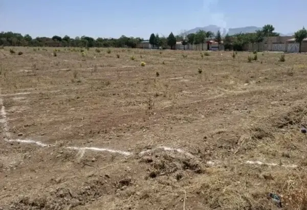 زمین دادگستری