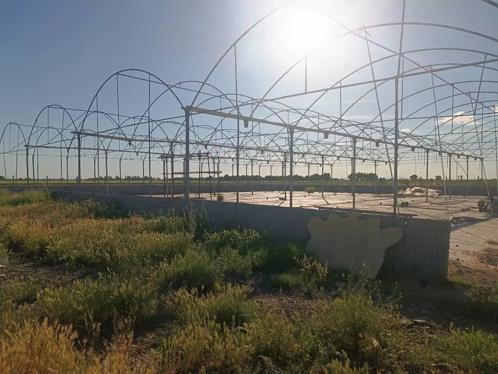 گلخانه