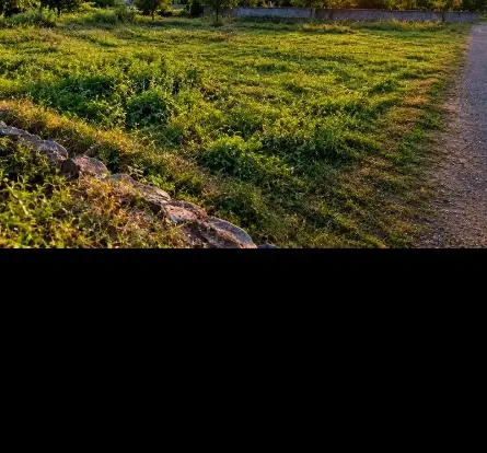 فروش زمین