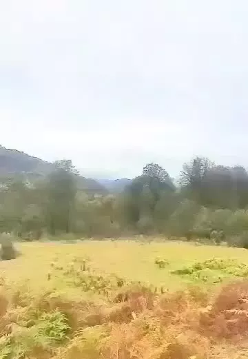 زمین