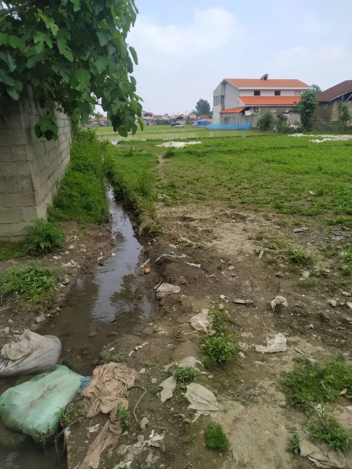 زمین خوش قواره کامل داخل بافت