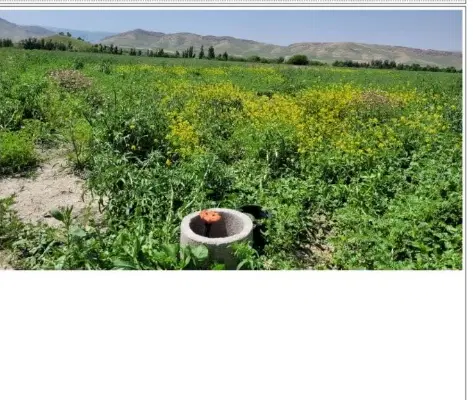مزایده زمین مزروعی آبی