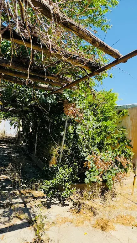 خانه ویلایی ( مالک هستم )