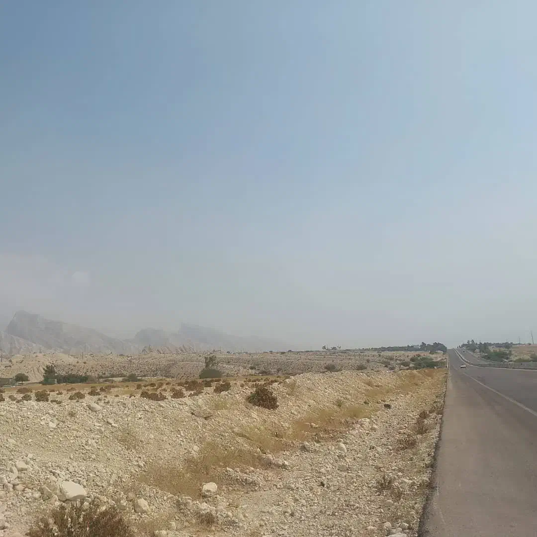 زمین باغی کنگان بر اتوبان