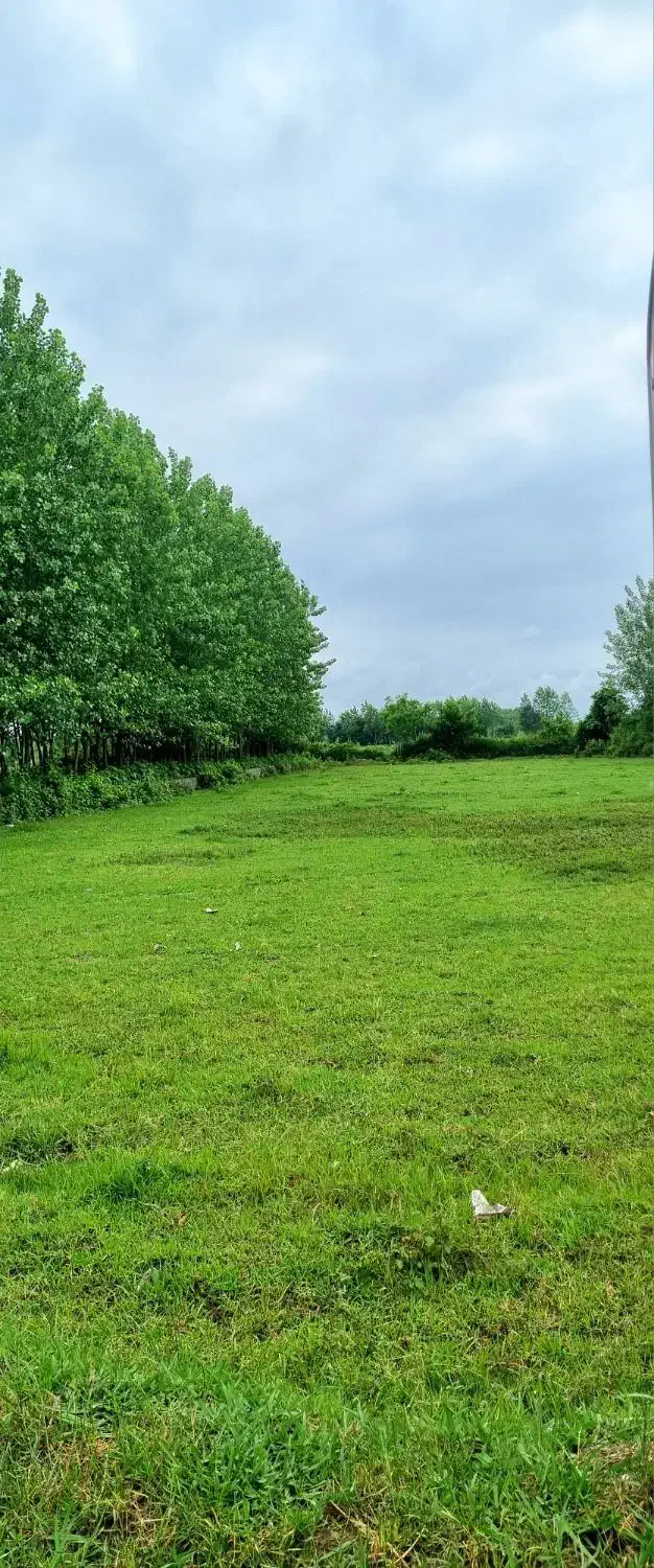 فروش زمین باغی بر آسفالت