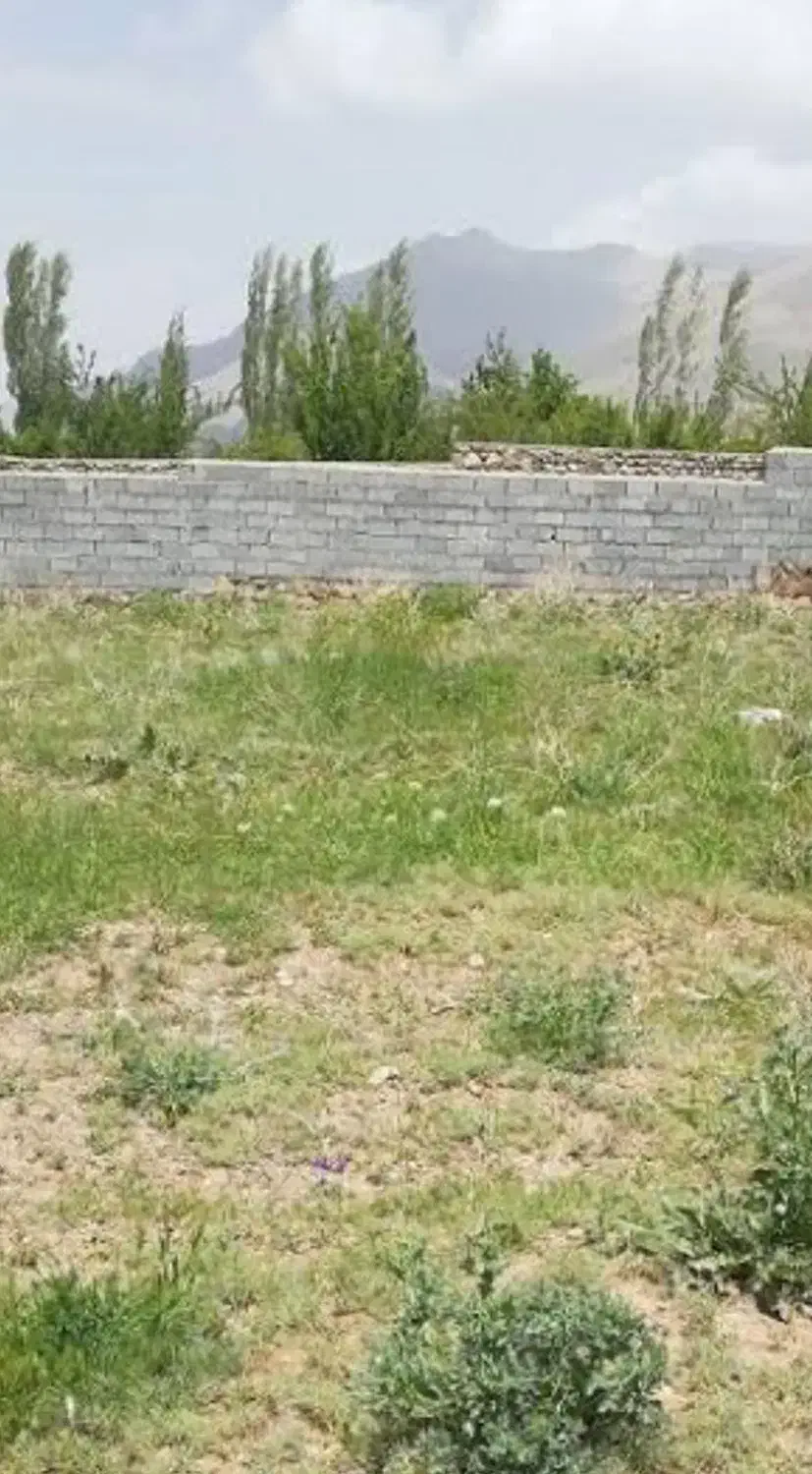 معاوضه زمین با حیوان