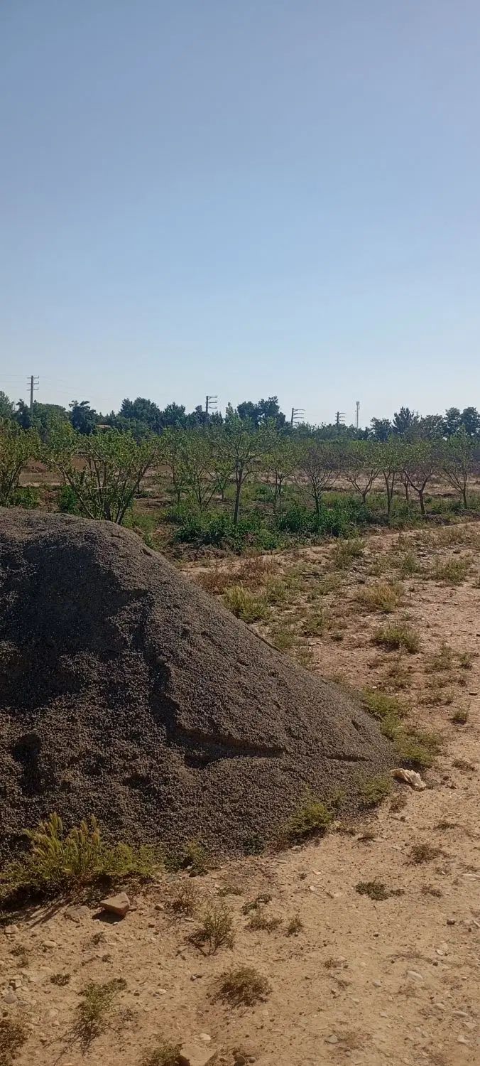 باغچه فروشی