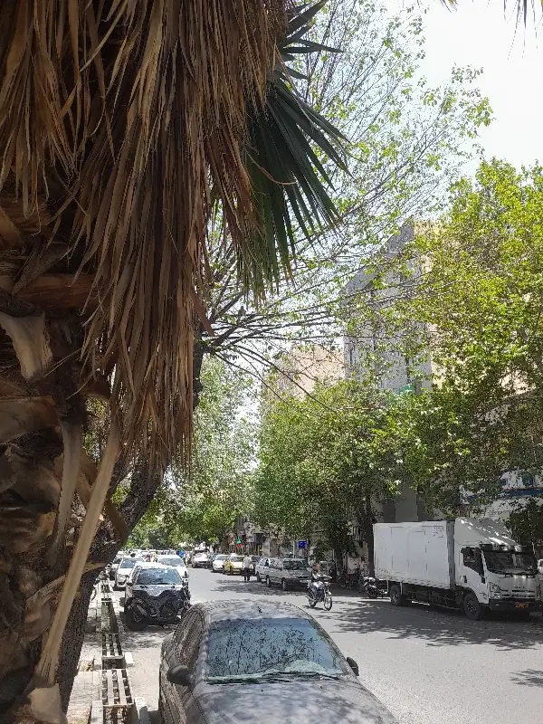 ۲۴۰ متر ملک ۲۵ متر تجاری بر غیاثی