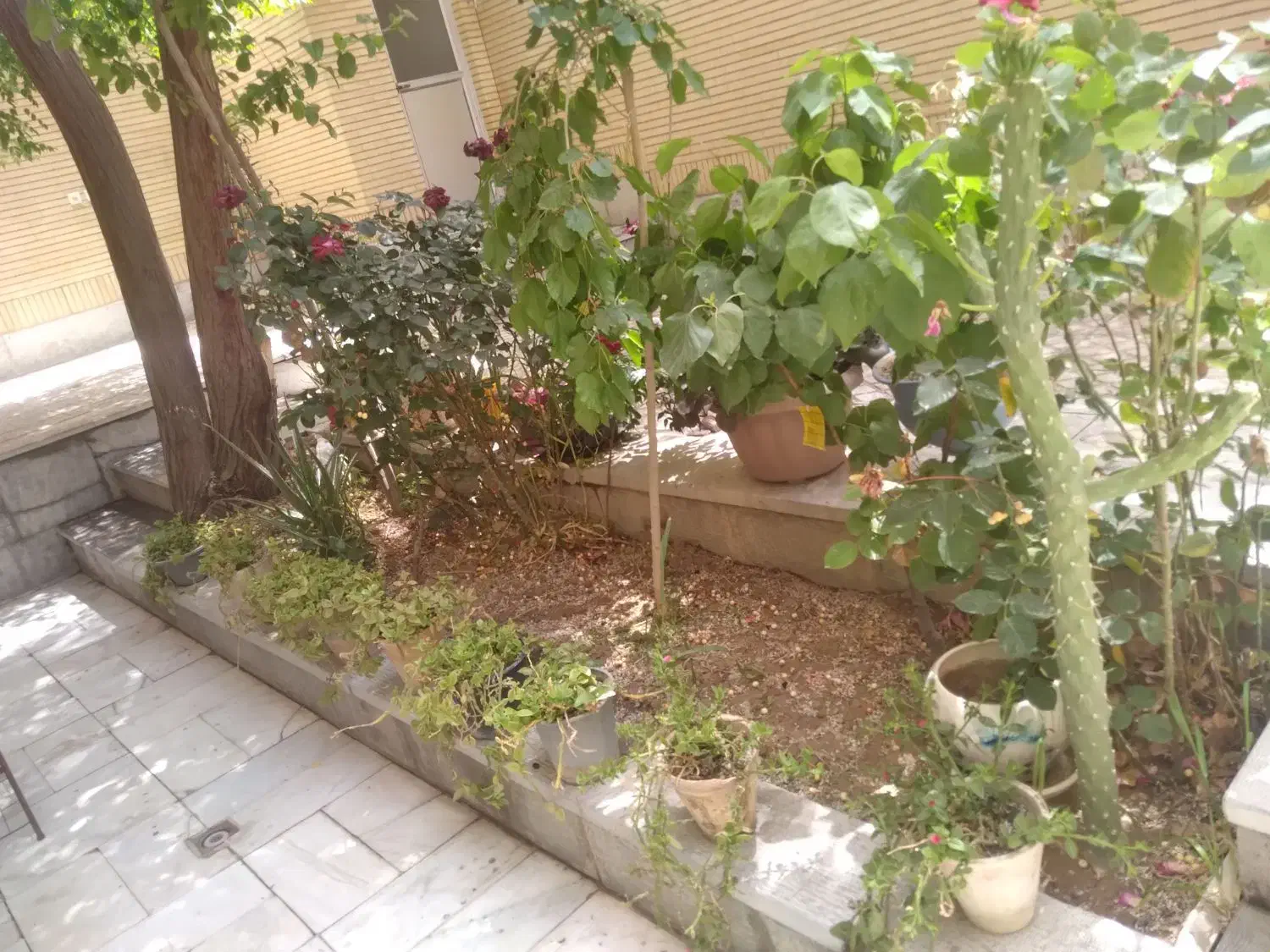 اجاره ویلایی باهنر