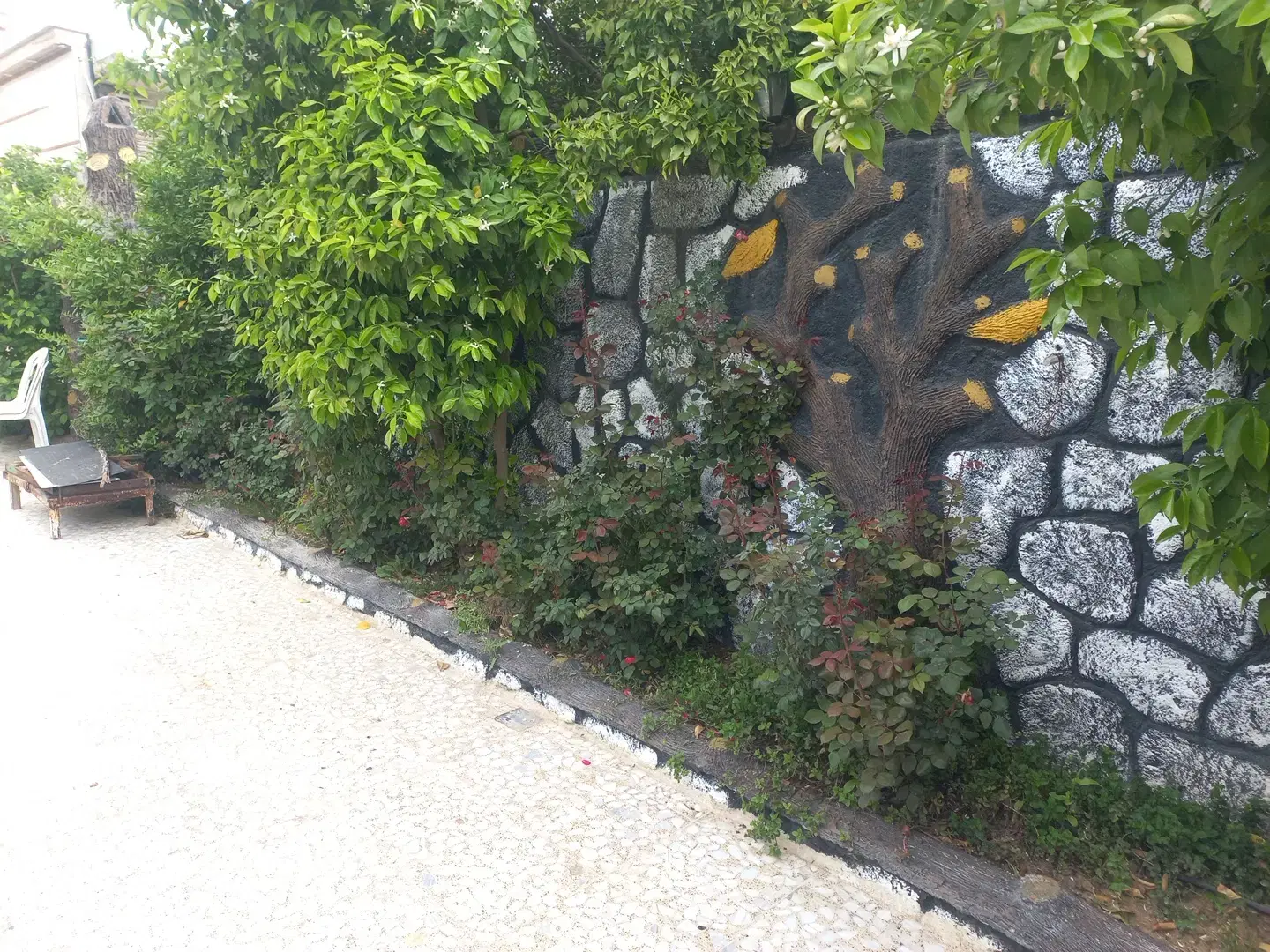 اجاره خانه باغچه مبله...