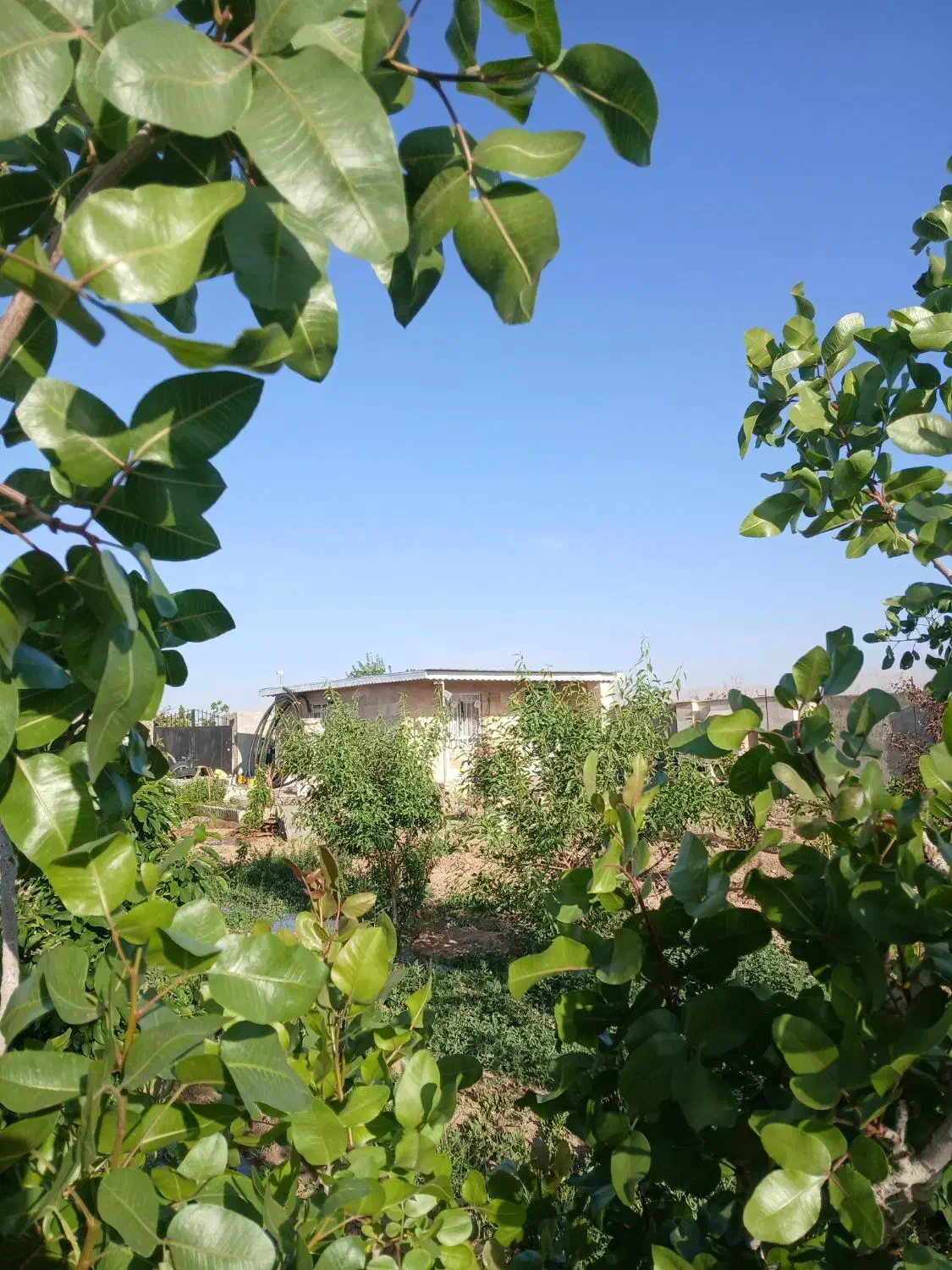 باغچه های تفریحی