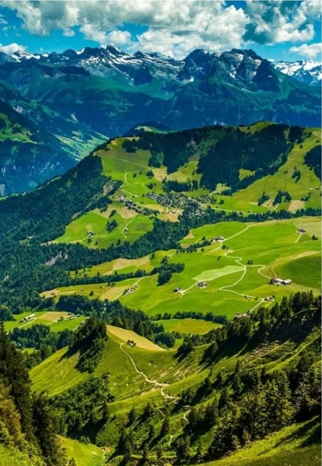 فروش زمین( روستایی پرچستان)