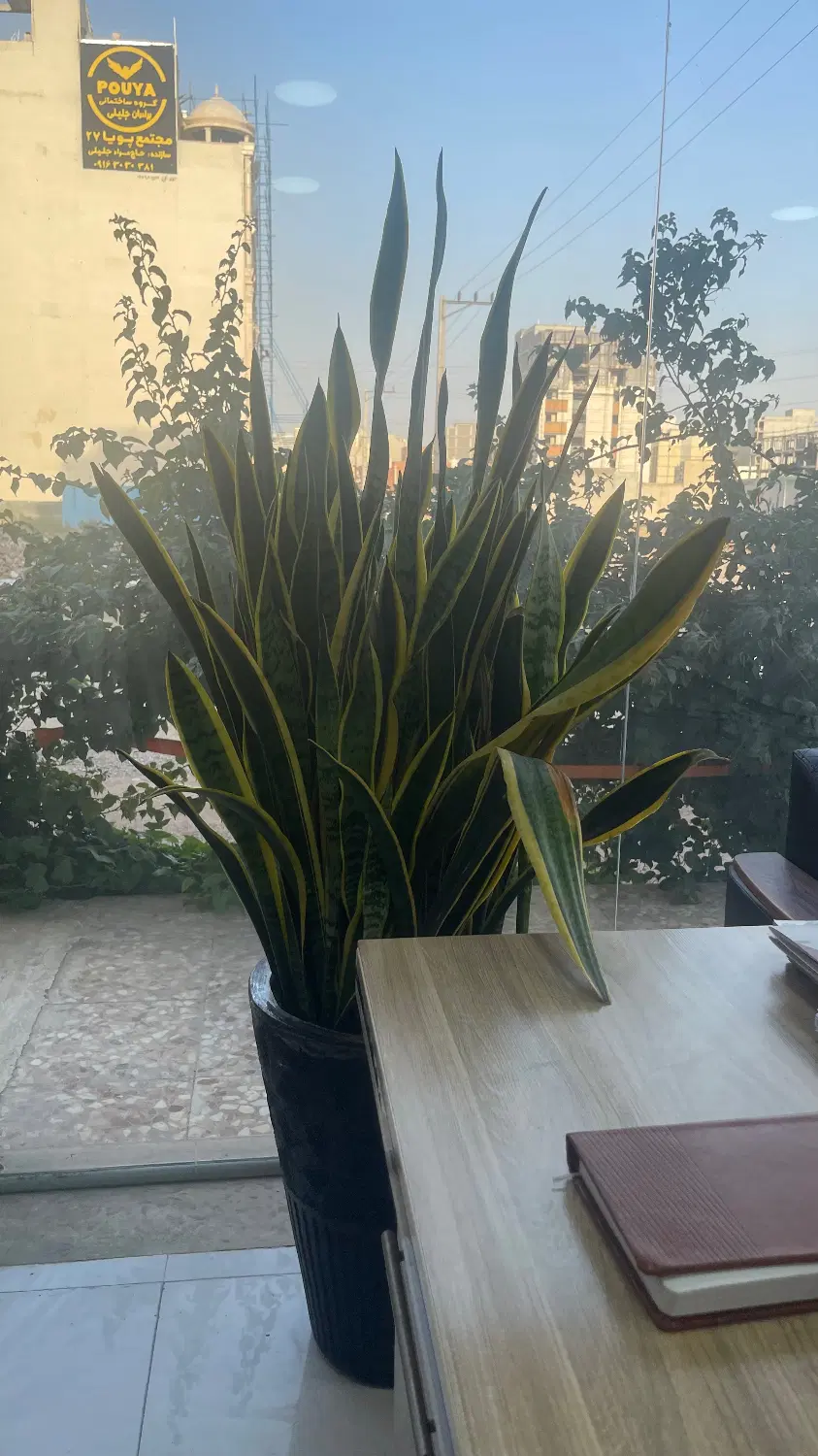 فروش مغازه کیانشهر