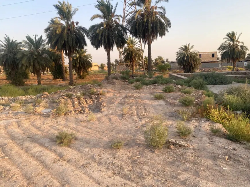 زمین تجاری