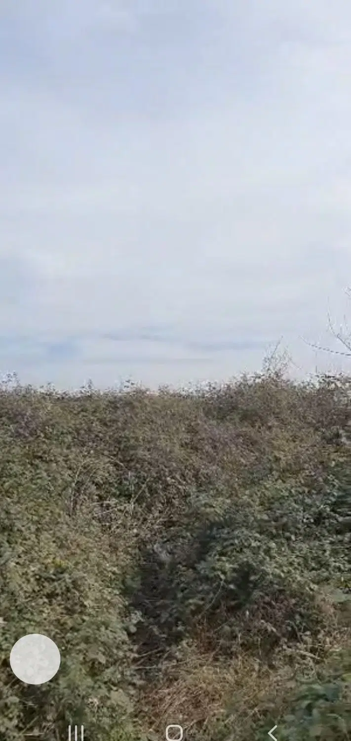 زمین ۲۰۵۰ متر