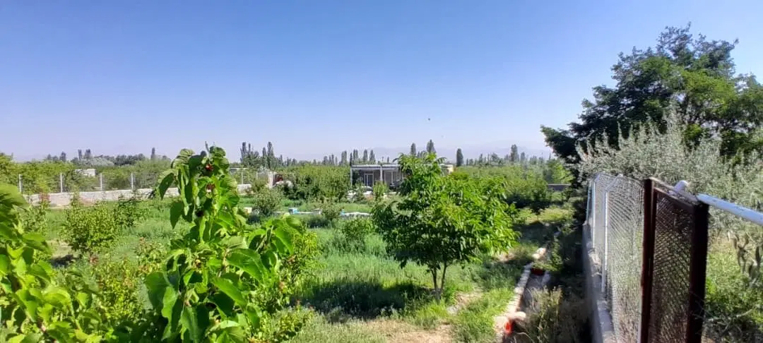 فروش باغ ۲۰۰۰متری با خانه باغ،استخر وتمامی امکانات