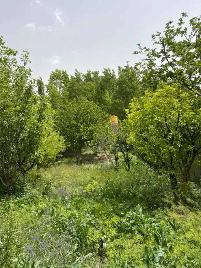 زمین ویو عالی کوهسار شنده