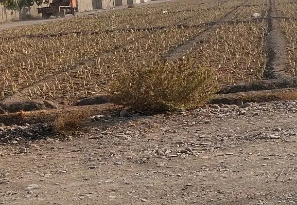 فروش زمین با بحر ۲۰ متر