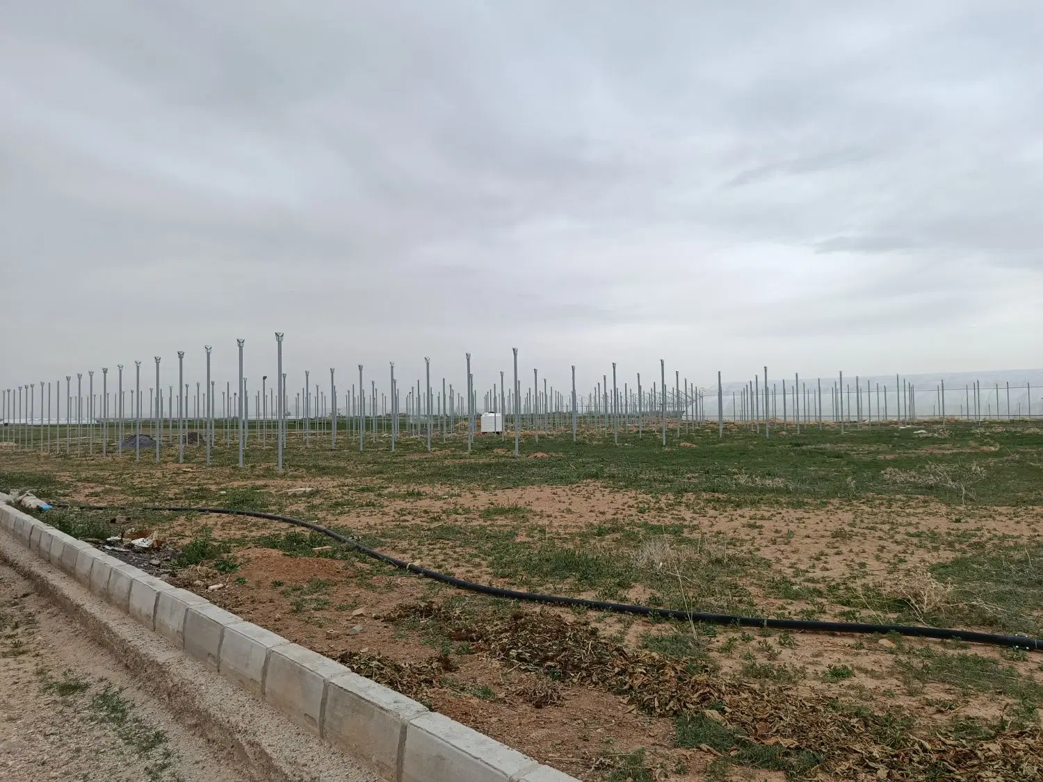 گلخانه شهرک کوریجان