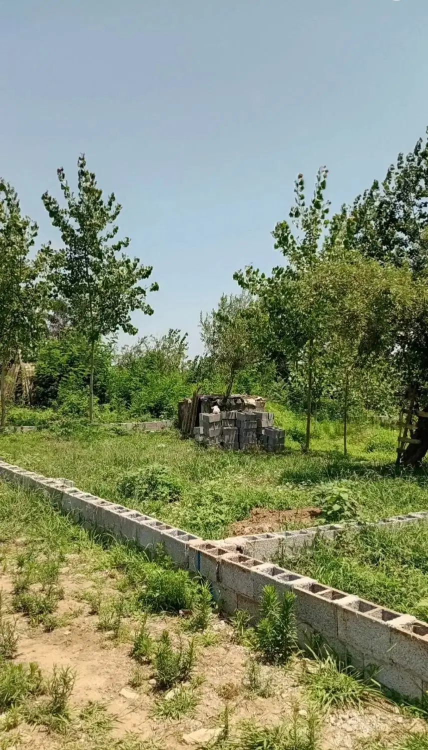 ۳۰۰ متر زمین فشتکه نزدیک جاده