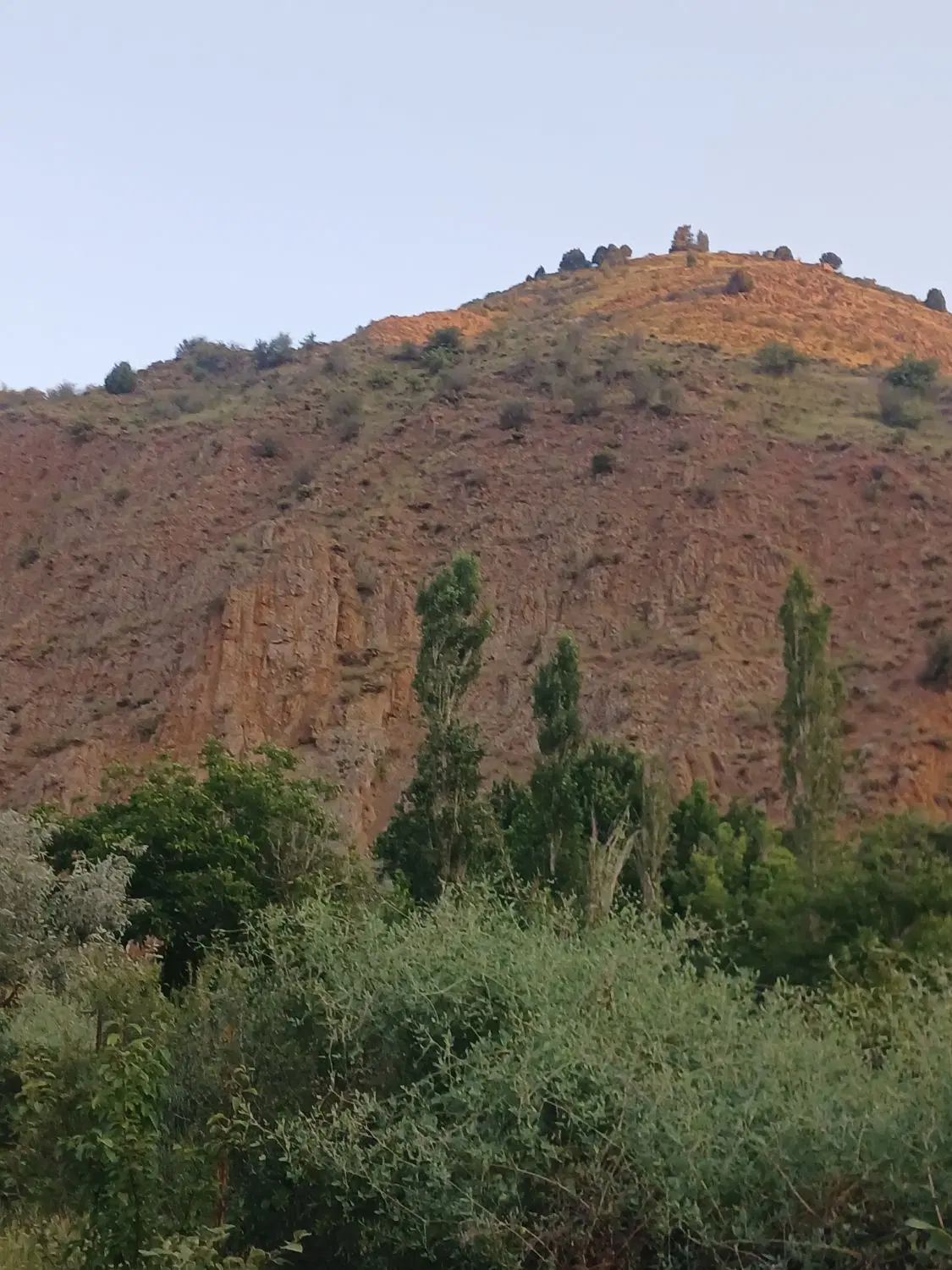 فروش زمین قطعه ۵۴قیمت کل ۲۳۰ملیون