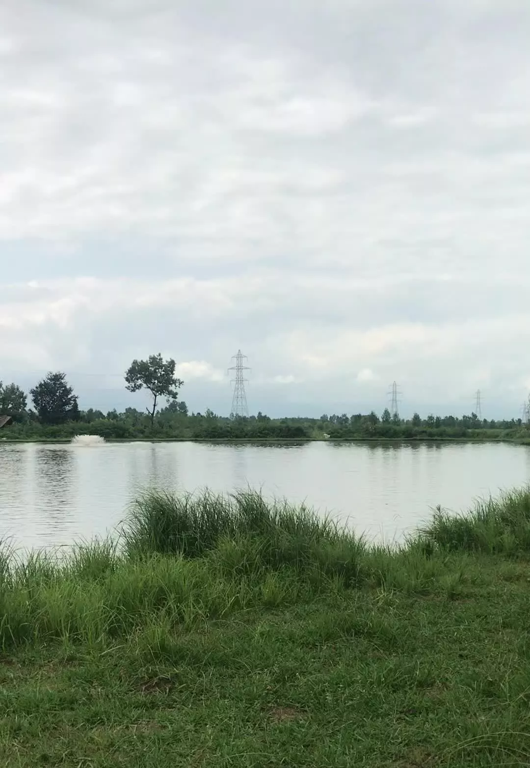 ویلایی فلت ۲۲۰ متری